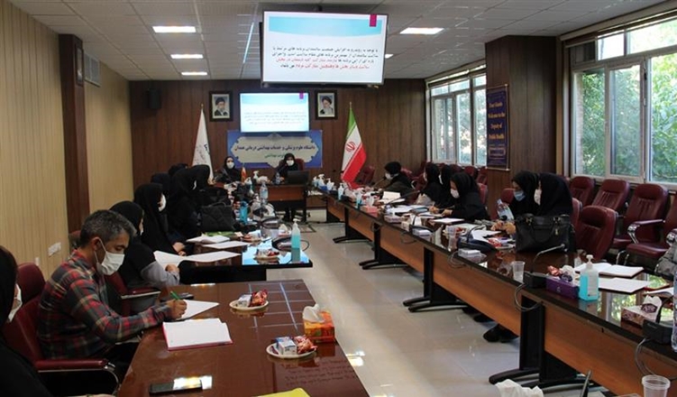 کارگاه خدمات ادغام یافته سلامت سالمندی در معاونت بهداشتی برگزار شد