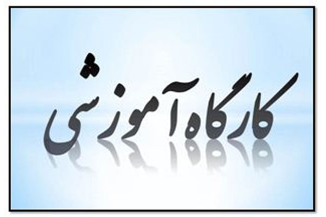 برگزاری کارگاه ویژه ارتقاء German-Iranian Research Funding Opportunities