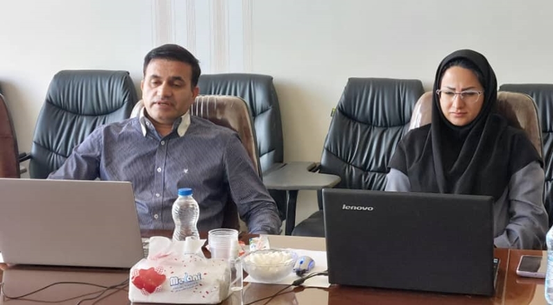 وبینار " گفتار درمانی در سکته مغزی"