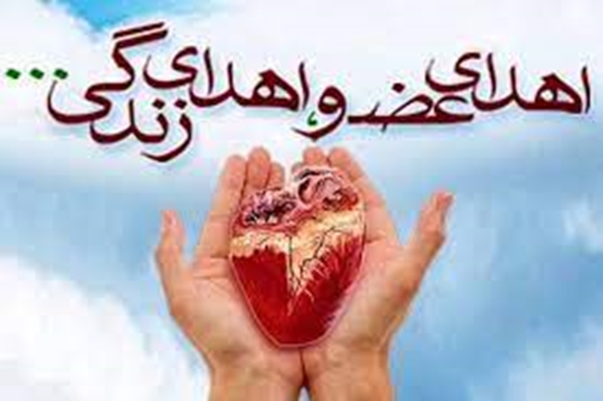 50 بیمار همدانی در صف انتظار پیوند کلیه/ 133 بیمار جدید به آمار بیماران دیالیزی همدان اضافه شد